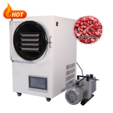 Freeze Dryer/Dehydrator/Lyophilizer Used in Snake Venom Vacuum Vaccine Product